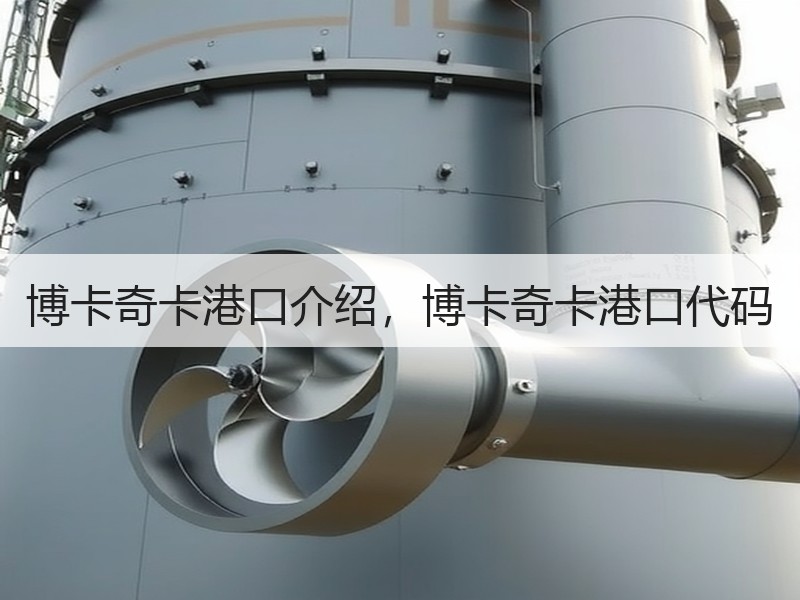 博卡奇卡港口介绍，博卡奇卡港口代码