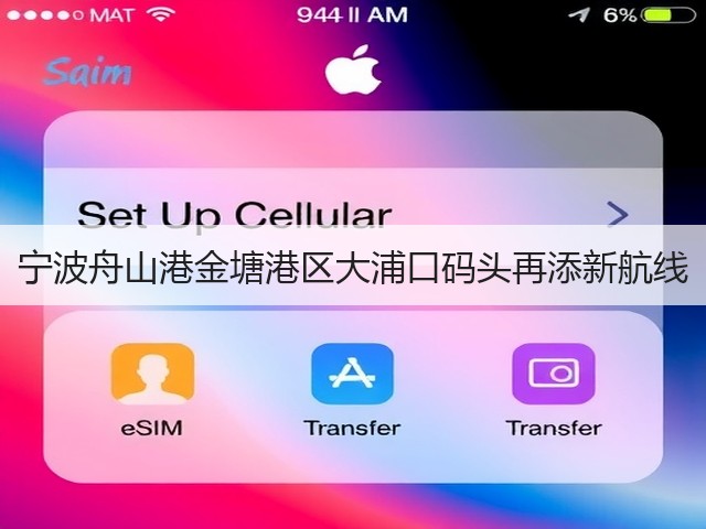 宁波舟山港金塘港区大浦口码头再添新航线(图1)