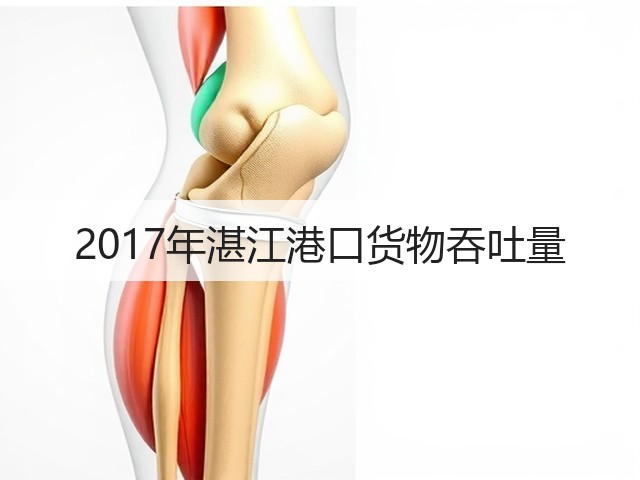 2017年湛江港口货物吞吐量(图1)