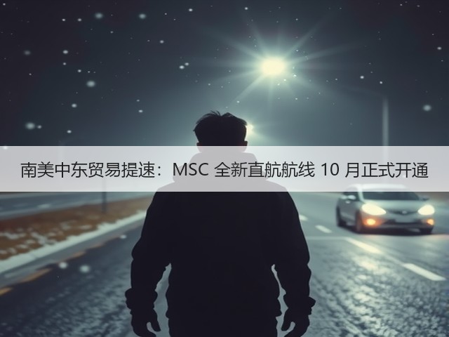 南美中东贸易提速:MSC 全新直航航线 10 月正式开通(图2) 南美中东贸易提速:MSC 全新直航航线 10 月正式开通(图2)