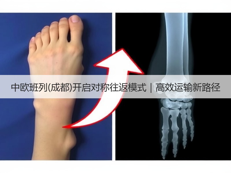 中欧班列(成都)开启对称往返模式｜高效运输新路径