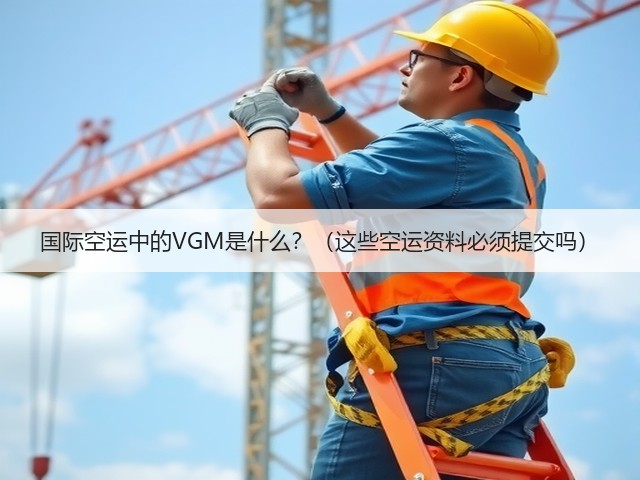 国际空运中的VGM是什么？（这些空运资料必须提交吗）(图3)