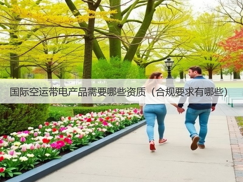 国际空运带电产品需要哪些资质（合规要求有哪些）