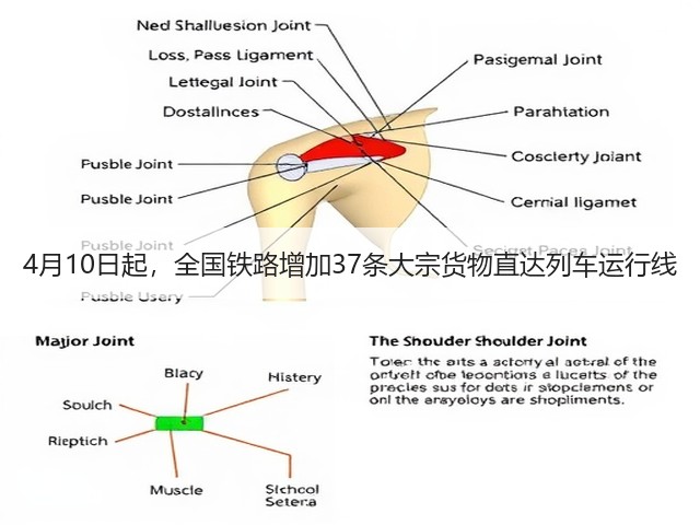 4月10日起,全国铁路增加37条大宗货物直达列车运行线(图3) 4月10日起,全国铁路增加37条大宗货物直达列车运行线(图3)