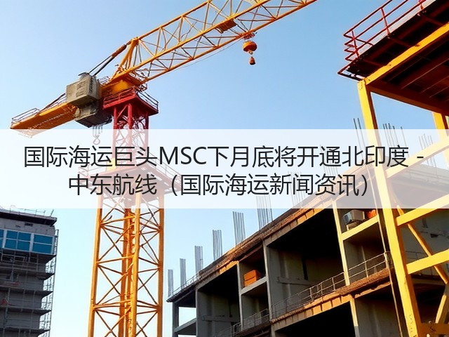 国际海运巨头MSC下月底将开通北印度 - 中东航线（国际海运新闻资讯）(图1)