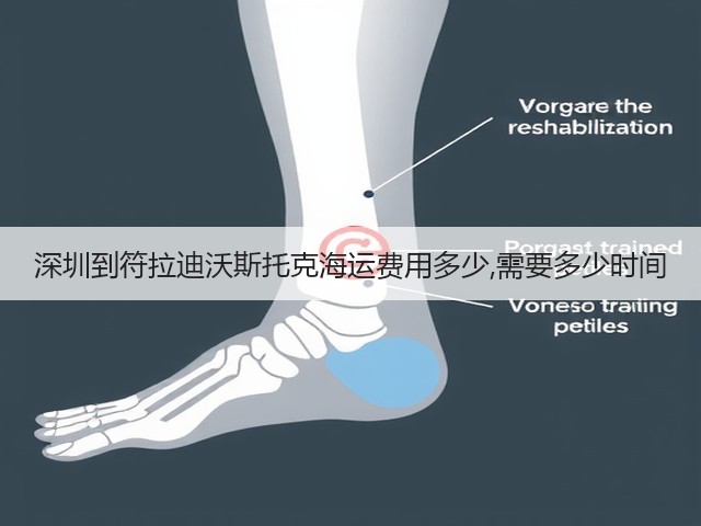 深圳到符拉迪沃斯托克海运费用多少,需要多少时间(图1) 深圳到符拉迪沃斯托克海运费用多少,需要多少时间(图1)