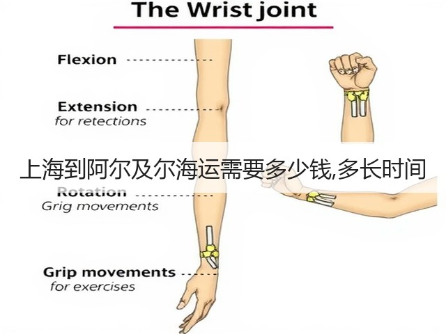 上海到阿尔及尔海运需要多少钱,多长时间(图1) 上海到阿尔及尔海运需要多少钱,多长时间(图1)