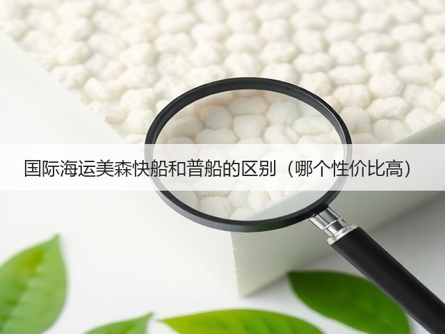 国际海运美森快船和普船的区别(哪个性价比高)(图1) 国际海运美森快船和普船的区别(哪个性价比高)(图1)