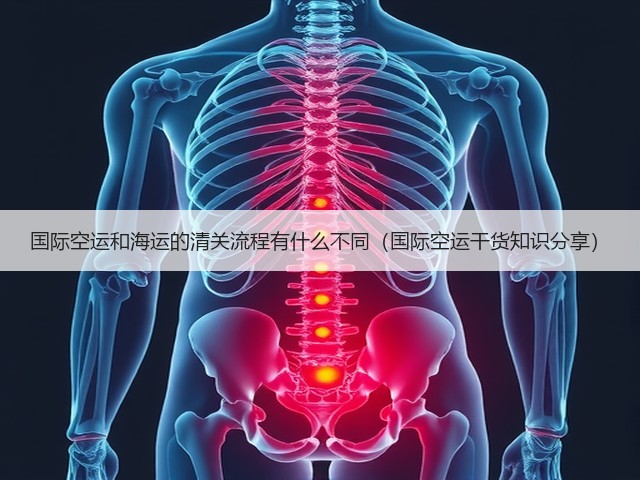 国际空运和海运的清关流程有什么不同(国际空运干货知识分享)(图3) 国际空运和海运的清关流程有什么不同(国际空运干货知识分享)(图3)