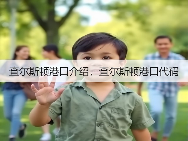 查尔斯顿港口介绍，查尔斯顿港口代码(图3)
