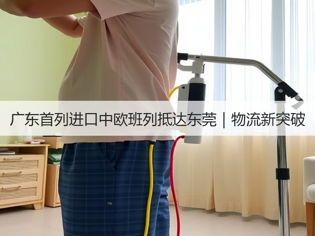 广东首列进口中欧班列抵达东莞|物流新突破(图3) 广东首列进口中欧班列抵达东莞|物流新突破(图3)