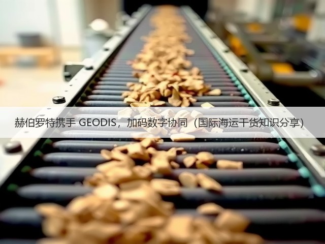 赫伯罗特携手 GEODIS,加码数字协同(国际海运干货知识分享)(图2) 赫伯罗特携手 GEODIS,加码数字协同(国际海运干货知识分享)(图2)