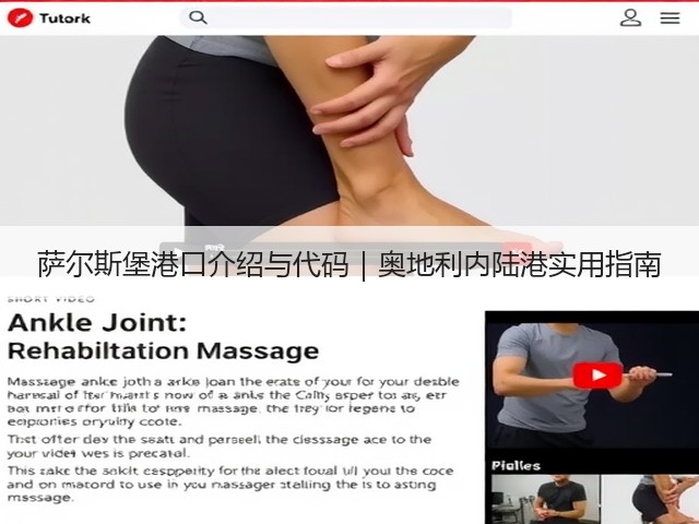 萨尔斯堡港口介绍与代码|奥地利内陆港实用指南(图2) 萨尔斯堡港口介绍与代码|奥地利内陆港实用指南(图2)
