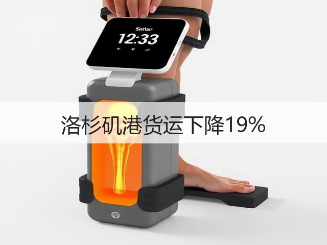 洛杉矶港货运下降19%(图1) 洛杉矶港货运下降19%(图1)