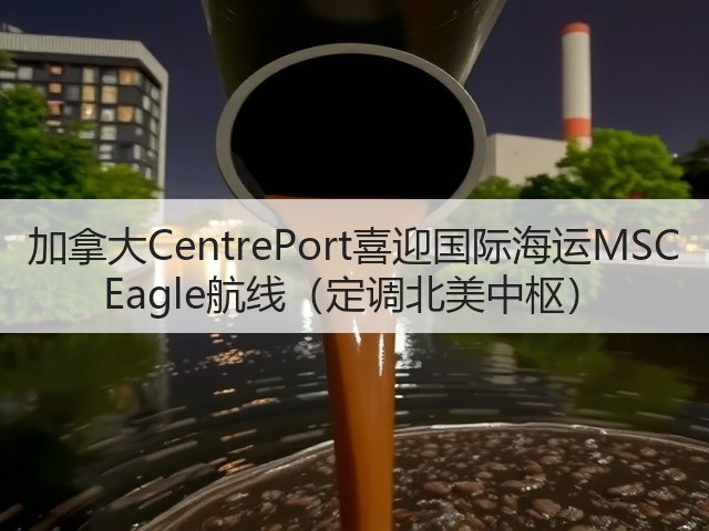 加拿大CentrePort喜迎国际海运MSC Eagle航线(定调北美中枢)(图2) 加拿大CentrePort喜迎国际海运MSC Eagle航线(定调北美中枢)(图2)
