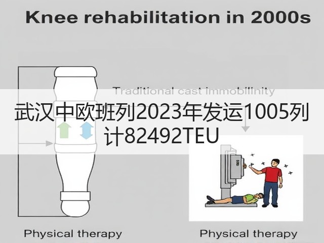 武汉中欧班列2023年发运1005列 计82492TEU(图1) 武汉中欧班列2023年发运1005列 计82492TEU(图1)