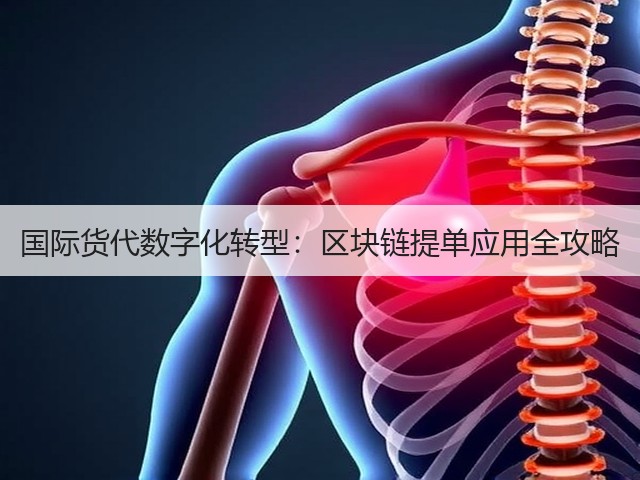 国际货代数字化转型:区块链提单应用全攻略(图3) 国际货代数字化转型:区块链提单应用全攻略(图3)