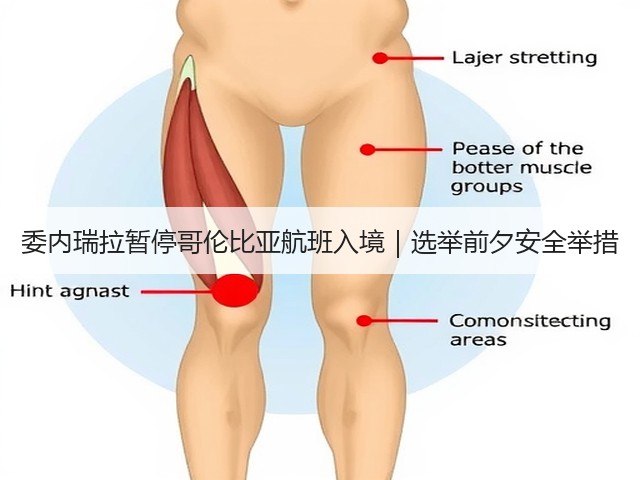 委内瑞拉暂停哥伦比亚航班入境|选举前夕安全举措(图1) 委内瑞拉暂停哥伦比亚航班入境|选举前夕安全举措(图1)
