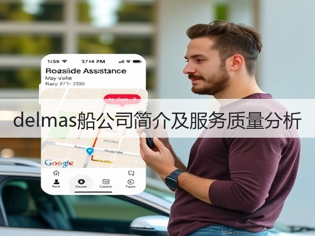 delmas船公司简介及服务质量分析(图2) delmas船公司简介及服务质量分析(图2)