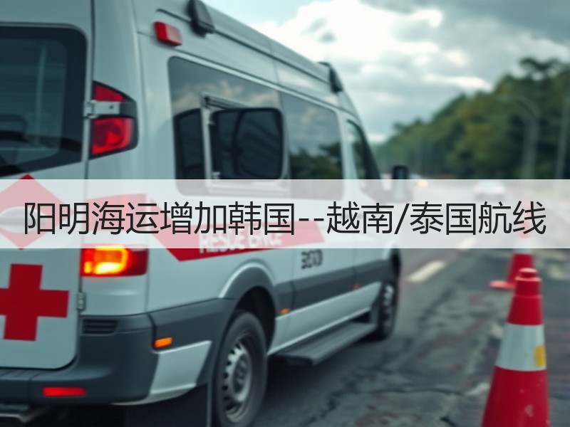 阳明海运增加韩国--越南/泰国航线