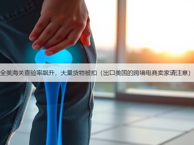 全美海关查验率飙升,大量货物被扣(出口美国的跨境电商卖家请注意)(图3) 全美海关查验率飙升,大量货物被扣(出口美国的跨境电商卖家请注意)(图3)