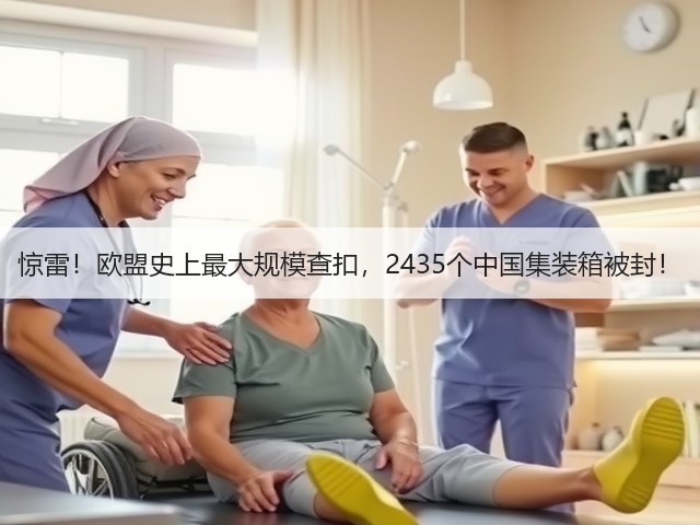 惊雷!欧盟史上最大规模查扣,2435个中国集装箱被封!(图1) 惊雷!欧盟史上最大规模查扣,2435个中国集装箱被封!(图1)