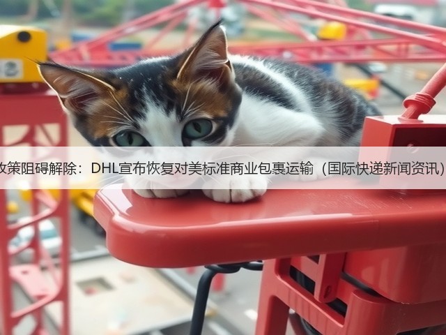 政策阻碍解除:DHL宣布恢复对美标准商业包裹运输(国际快递新闻资讯)(图3) 政策阻碍解除:DHL宣布恢复对美标准商业包裹运输(国际快递新闻资讯)(图3)