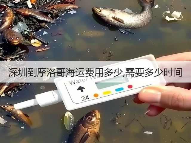 深圳到摩洛哥海运费用多少,需要多少时间(图2) 深圳到摩洛哥海运费用多少,需要多少时间(图2)