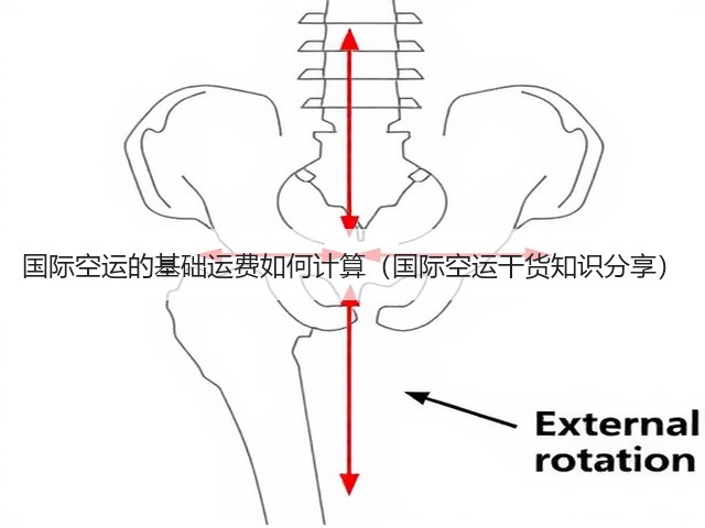 国际空运的基础运费如何计算(国际空运干货知识分享)(图2) 国际空运的基础运费如何计算(国际空运干货知识分享)(图2)