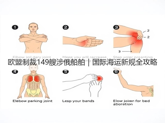 欧盟制裁149艘涉俄船舶|国际海运新规全攻略(图2) 欧盟制裁149艘涉俄船舶|国际海运新规全攻略(图2)