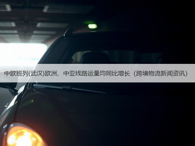 中欧班列(武汉)欧洲、中亚线路运量均同比增长(跨境物流新闻资讯)(图2) 中欧班列(武汉)欧洲、中亚线路运量均同比增长(跨境物流新闻资讯)(图2)