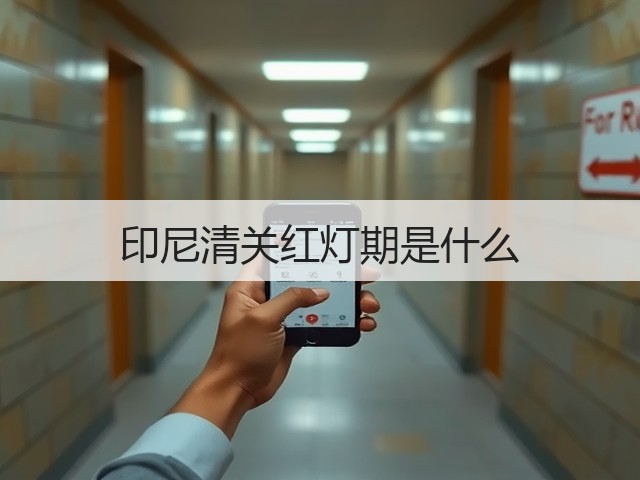 印尼清关红灯期是什么(图3) 印尼清关红灯期是什么(图3)
