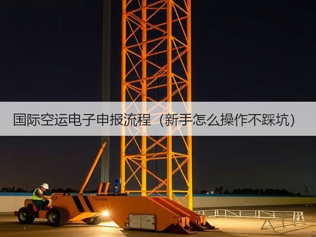 国际空运电子申报流程（新手怎么操作不踩坑）(图1)