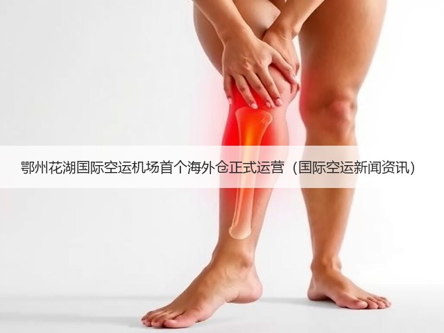 鄂州花湖国际空运机场首个海外仓正式运营(国际空运新闻资讯)(图1) 鄂州花湖国际空运机场首个海外仓正式运营(国际空运新闻资讯)(图1)