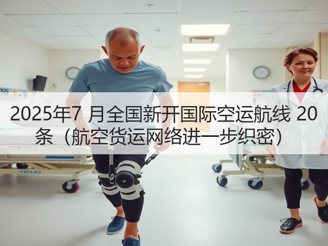2025年7 月全国新开国际空运航线 20 条(航空货运网络进一步织密)(图2) 2025年7 月全国新开国际空运航线 20 条(航空货运网络进一步织密)(图2)