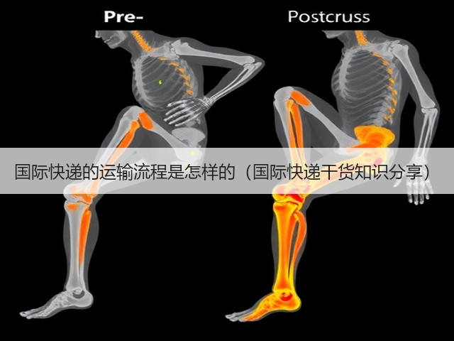国际快递的运输流程是怎样的(国际快递干货知识分享)(图3) 国际快递的运输流程是怎样的(国际快递干货知识分享)(图3)