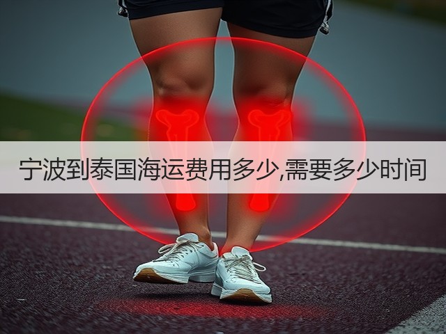宁波到泰国海运费用多少,需要多少时间(图3) 宁波到泰国海运费用多少,需要多少时间(图3)