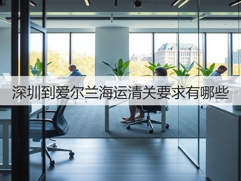 深圳到爱尔兰海运清关要求有哪些