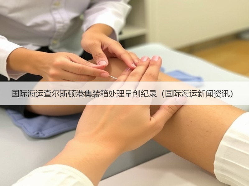 国际海运查尔斯顿港集装箱处理量创纪录(国际海运新闻资讯) 国际海运查尔斯顿港集装箱处理量创纪录(国际海运新闻资讯)