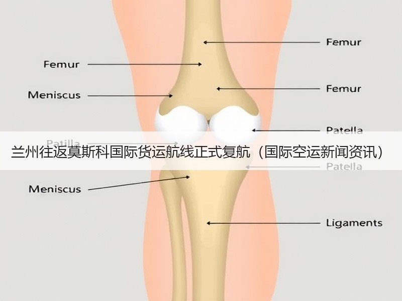 兰州往返莫斯科国际货运航线正式复航（国际空运新闻资讯）
