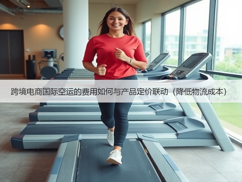 跨境电商国际空运的费用如何与产品定价联动（降低物流成本）