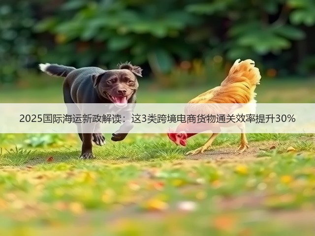 2025国际海运新政解读:这3类跨境电商货物通关效率提升30%(图1) 2025国际海运新政解读:这3类跨境电商货物通关效率提升30%(图1)