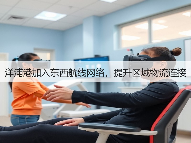 洋浦港加入东西航线网络,提升区域物流连接 洋浦港加入东西航线网络,提升区域物流连接
