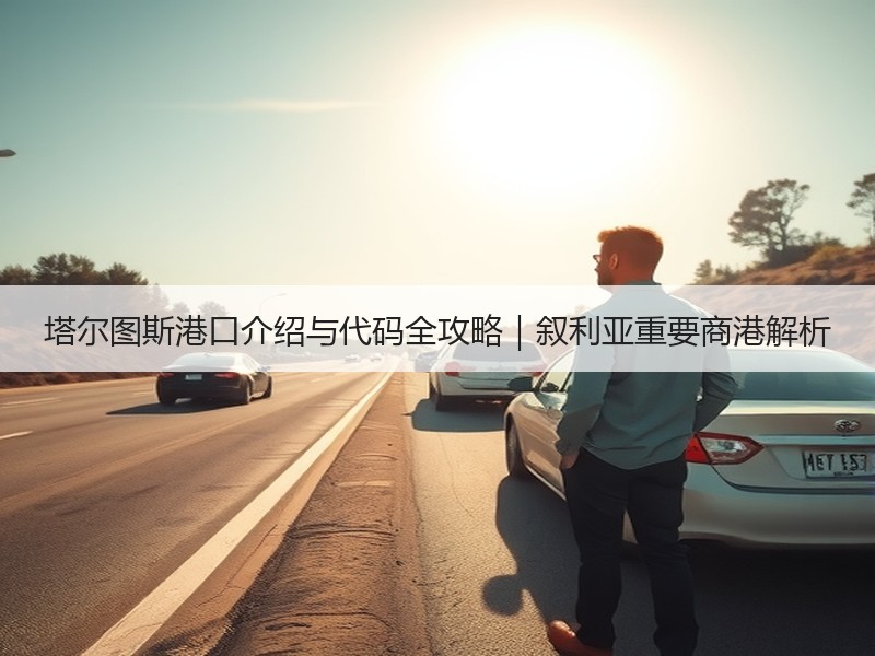 塔尔图斯港口介绍与代码全攻略|叙利亚重要商港解析 塔尔图斯港口介绍与代码全攻略|叙利亚重要商港解析