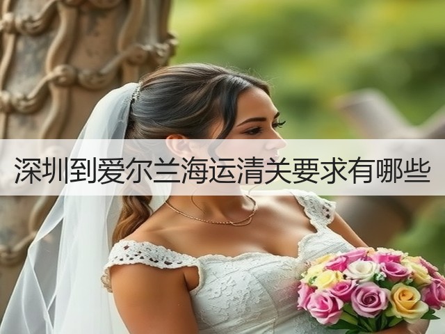 深圳到爱尔兰海运清关要求有哪些(图1)