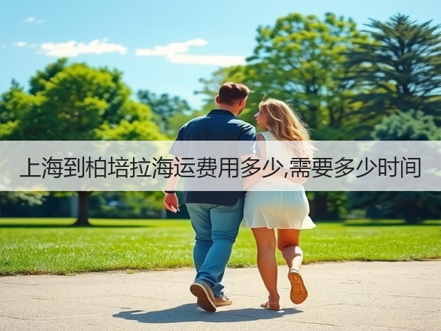 上海到柏培拉海运费用多少,需要多少时间(图3) 上海到柏培拉海运费用多少,需要多少时间(图3)