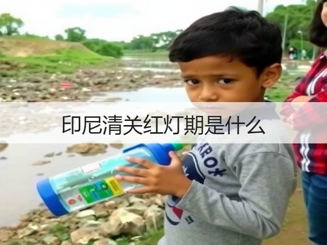 印尼清关红灯期是什么(图3) 印尼清关红灯期是什么(图3)