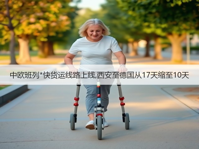中欧班列*快货运线路上线,西安至德国从17天缩至10天(图1) 中欧班列*快货运线路上线,西安至德国从17天缩至10天(图1)