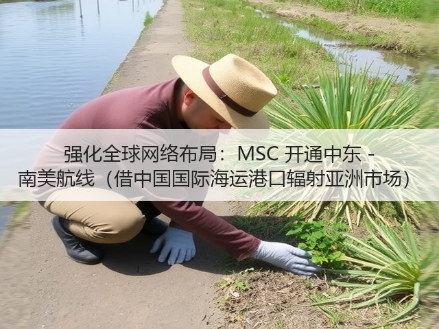 强化全球网络布局:MSC 开通中东 - 南美航线(借中国国际海运港口辐射亚洲市场)(图2) 强化全球网络布局:MSC 开通中东 - 南美航线(借中国国际海运港口辐射亚洲市场)(图2)