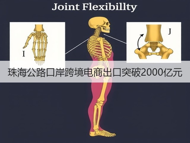 珠海公路口岸跨境电商出口突破2000亿元(图3) 珠海公路口岸跨境电商出口突破2000亿元(图3)
